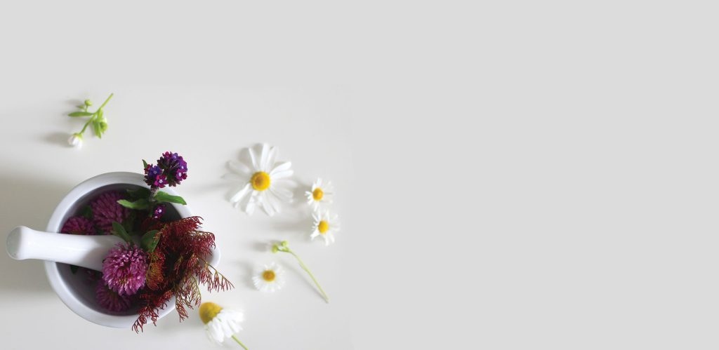 banner-04